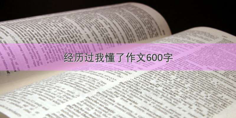 经历过我懂了作文600字