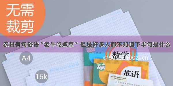 农村有句俗语“老牛吃嫩草” 但是许多人都不知道下半句是什么