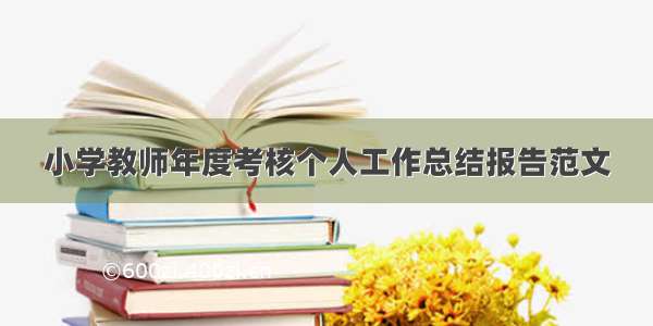 小学教师年度考核个人工作总结报告范文