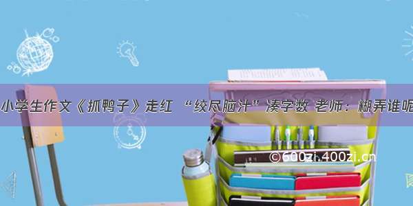 小学生作文《抓鸭子》走红 “绞尽脑汁”凑字数 老师：糊弄谁呢