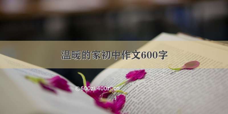 温暖的家初中作文600字