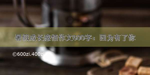 暑假成长感悟作文600字：因为有了你