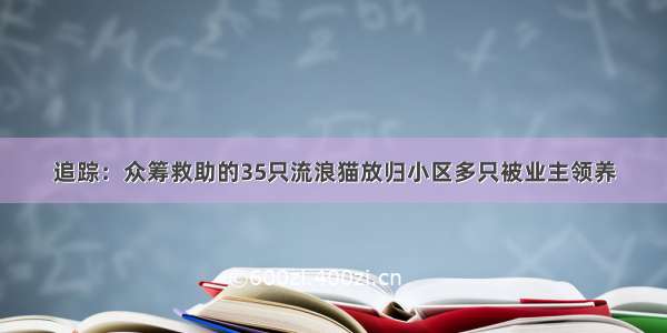 追踪：众筹救助的35只流浪猫放归小区多只被业主领养