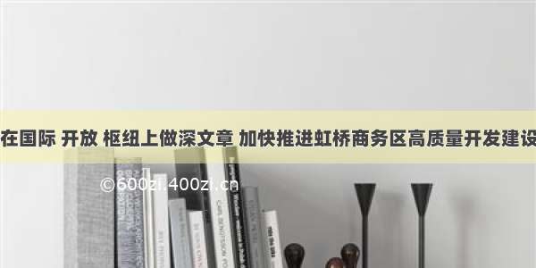 在国际 开放 枢纽上做深文章 加快推进虹桥商务区高质量开发建设