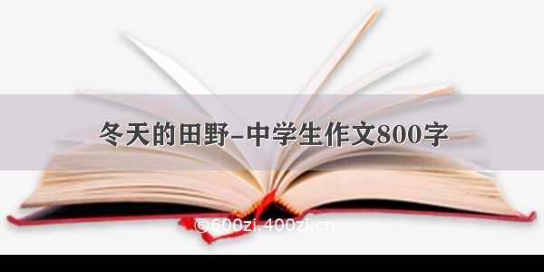 冬天的田野-中学生作文800字