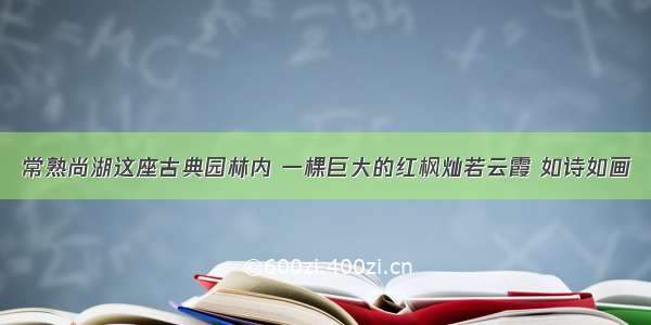 常熟尚湖这座古典园林内 一棵巨大的红枫灿若云霞 如诗如画