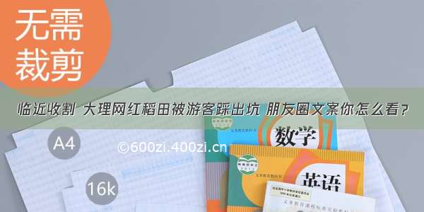 临近收割 大理网红稻田被游客踩出坑 朋友圈文案你怎么看？