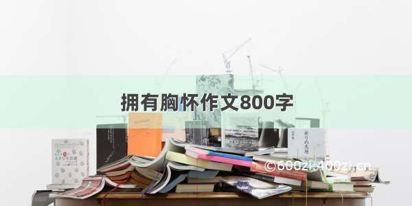 拥有胸怀作文800字