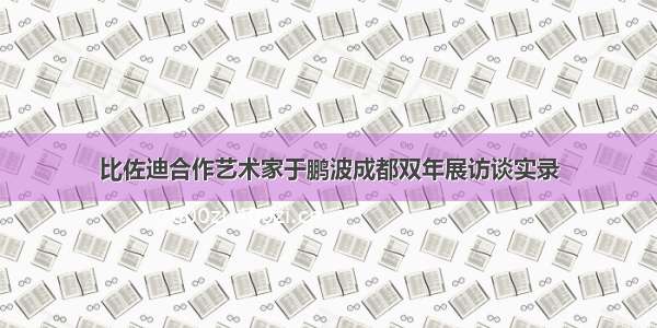 比佐迪合作艺术家于鹏波成都双年展访谈实录