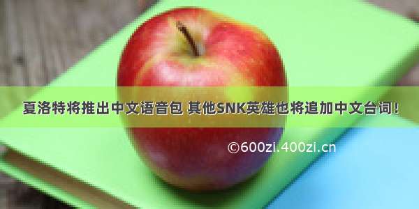 夏洛特将推出中文语音包 其他SNK英雄也将追加中文台词！