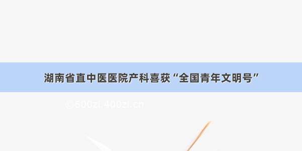 湖南省直中医医院产科喜获“全国青年文明号”