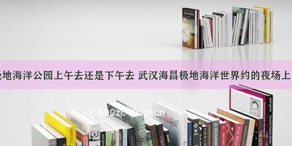 武汉海昌极地海洋公园上午去还是下午去 武汉海昌极地海洋世界约的夜场上午可以去吗