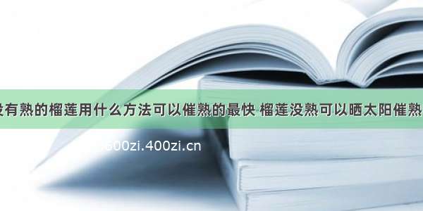 没有熟的榴莲用什么方法可以催熟的最快 榴莲没熟可以晒太阳催熟吗