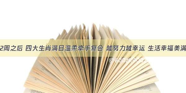 2周之后 四大生肖满目温柔牵手复合 越努力越幸运 生活幸福美满