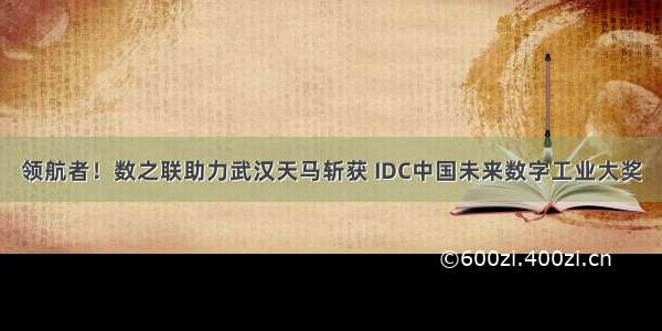 领航者！数之联助力武汉天马斩获 IDC中国未来数字工业大奖