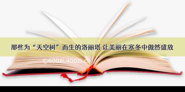 那些为“天空树”而生的洛丽塔 让美丽在寒冬中傲然盛放