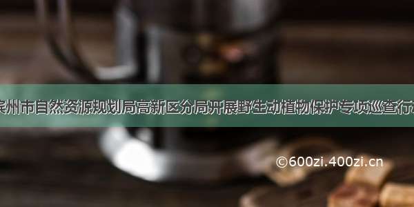 滨州市自然资源规划局高新区分局开展野生动植物保护专项巡查行动