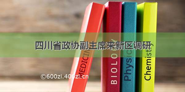 四川省政协副主席来新区调研