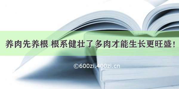 养肉先养根 根系健壮了多肉才能生长更旺盛！