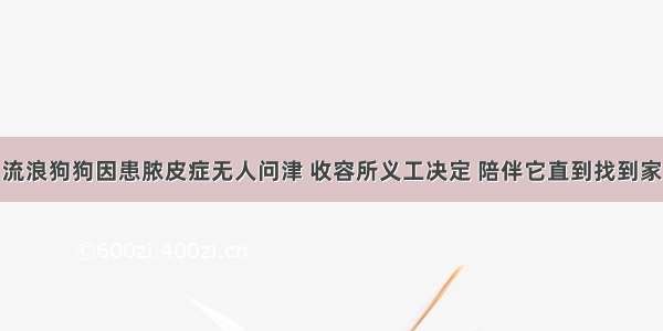 流浪狗狗因患脓皮症无人问津 收容所义工决定 陪伴它直到找到家