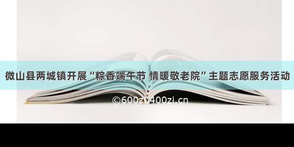 微山县两城镇开展“粽香端午节 情暖敬老院”主题志愿服务活动