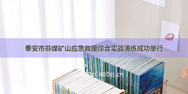 泰安市非煤矿山应急救援综合实战演练成功举行