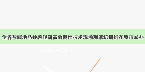 全省盐碱地马铃薯轻简高效栽培技术现场观摩培训班在我市举办