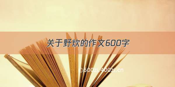 关于野炊的作文600字