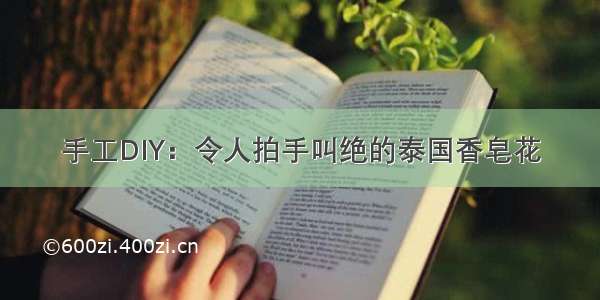 手工DIY：令人拍手叫绝的泰国香皂花