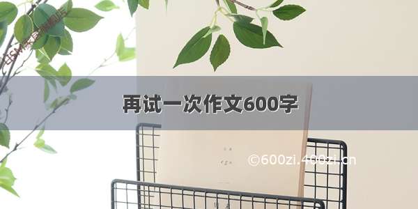 再试一次作文600字