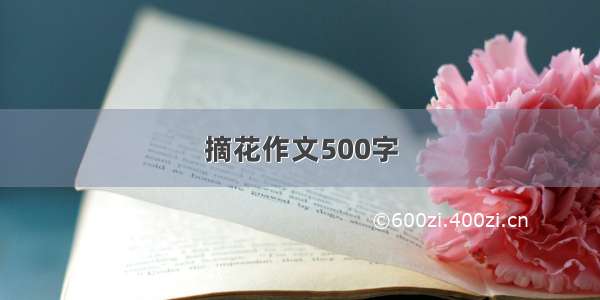 摘花作文500字