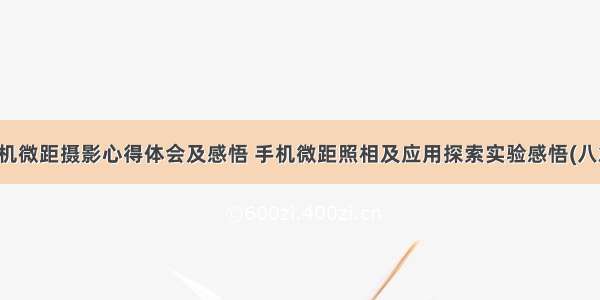 手机微距摄影心得体会及感悟 手机微距照相及应用探索实验感悟(八篇)