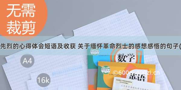 缅怀先烈的心得体会短语及收获 关于缅怀革命烈士的感想感悟的句子(2篇)