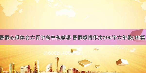 暑假心得体会六百字高中和感想 暑假感悟作文500字六年级(四篇)