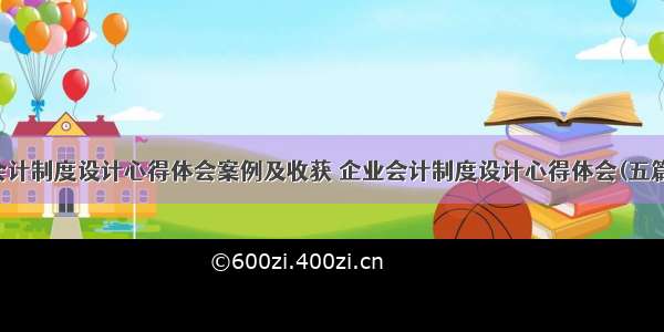 会计制度设计心得体会案例及收获 企业会计制度设计心得体会(五篇)