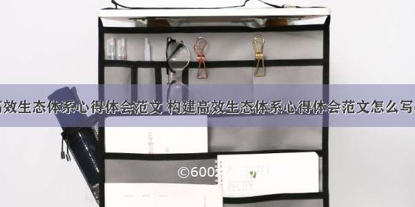 构建高效生态体系心得体会范文 构建高效生态体系心得体会范文怎么写(二篇)