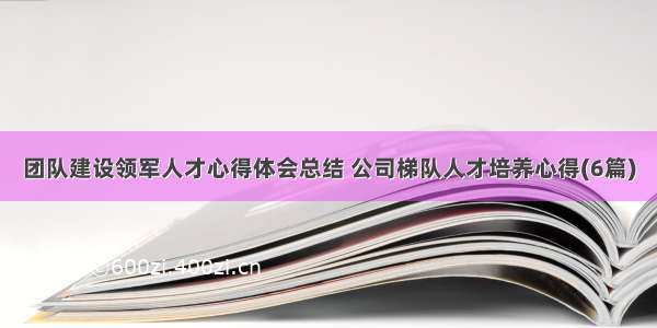 团队建设领军人才心得体会总结 公司梯队人才培养心得(6篇)