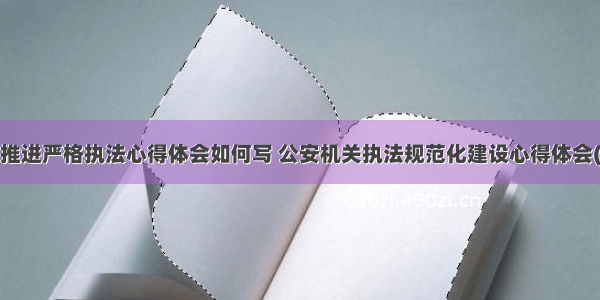 公安推进严格执法心得体会如何写 公安机关执法规范化建设心得体会(8篇)