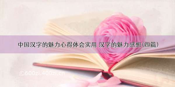 中国汉字的魅力心得体会实用 汉字的魅力感想(四篇)