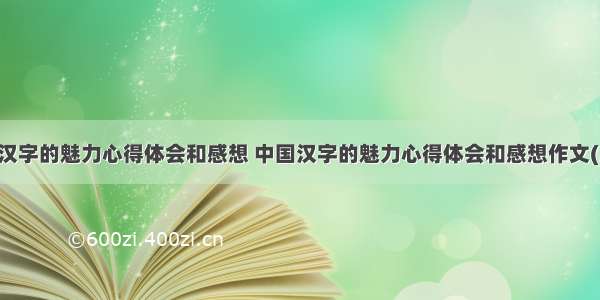 中国汉字的魅力心得体会和感想 中国汉字的魅力心得体会和感想作文(二篇)