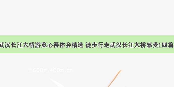 武汉长江大桥游览心得体会精选 徒步行走武汉长江大桥感受(四篇)