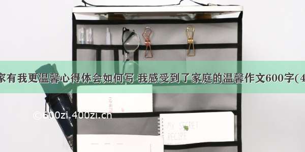 我家有我更温馨心得体会如何写 我感受到了家庭的温馨作文600字(4篇)