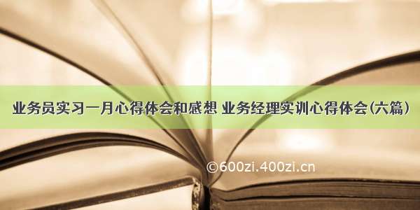 业务员实习一月心得体会和感想 业务经理实训心得体会(六篇)