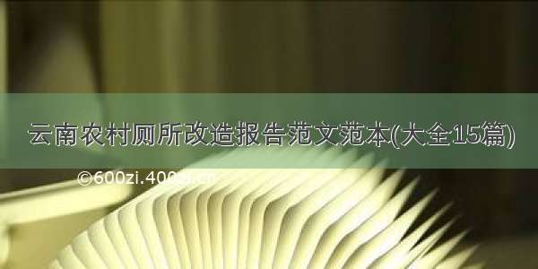 云南农村厕所改造报告范文范本(大全15篇)