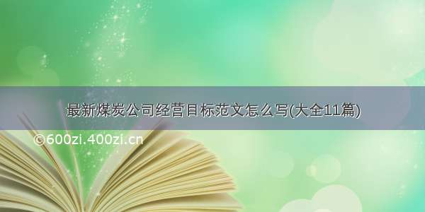 最新煤炭公司经营目标范文怎么写(大全11篇)