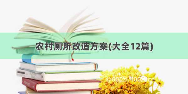 农村厕所改造方案(大全12篇)