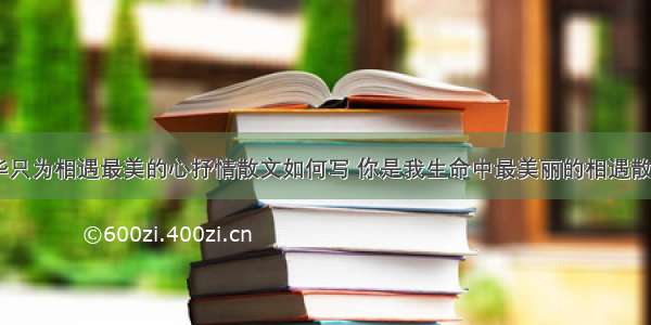 最美年华只为相遇最美的心抒情散文如何写 你是我生命中最美丽的相遇散文(八篇)