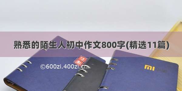 熟悉的陌生人初中作文800字(精选11篇)