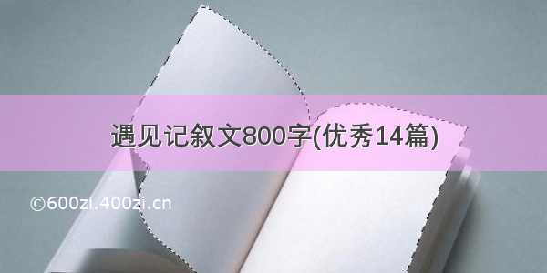 遇见记叙文800字(优秀14篇)