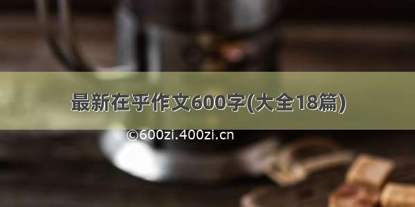 最新在乎作文600字(大全18篇)